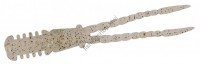 DUO Tetra Works Burny Limited Colour S515 Kuma Prawn Ebi