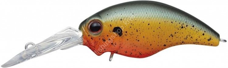 EVERGREEN Wildhunch #381 Bleeding Sunfish