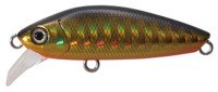 TACKLE HOUSE Shores Tiromino STM44 #37 Gold Black Orange Belly