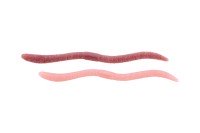 JACKALL Flick Shake 500 3.8'' #Lively Mimizu (10pcs)