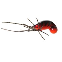 JACKSON Chinu Koroli 5.0g #SF 灵魂美食 (沉没)