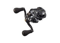 DAIWA 20 Tierra IC 100XH
