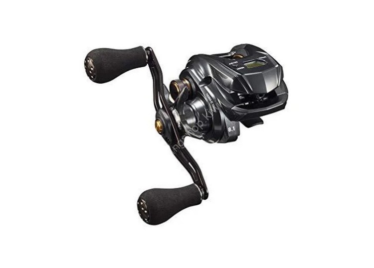 DAIWA 20 Tierra IC 100XH