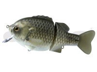 DEPS Bulldoze 160 13 Kimbuna