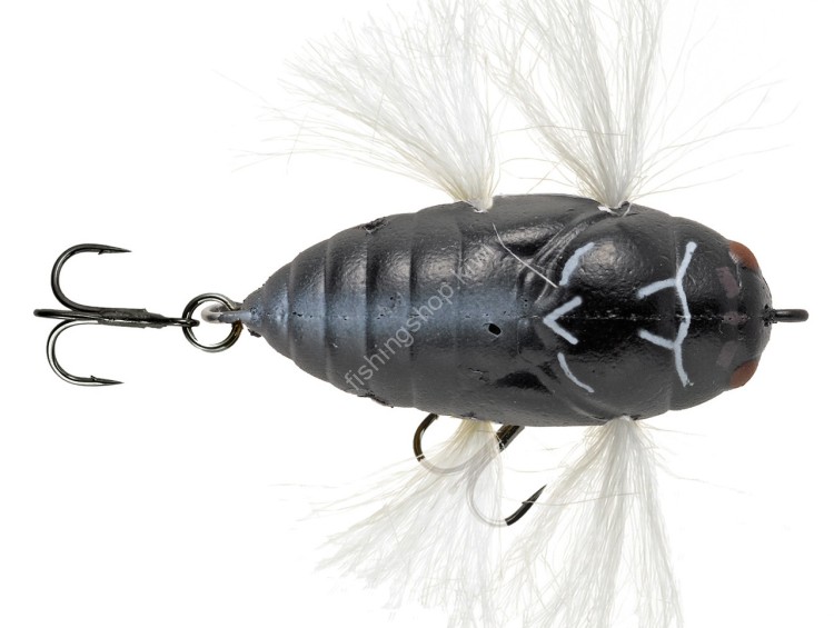 TIEMCO Soft Shell Cicada Hair Wing #SSCHW-049 Aburazemi