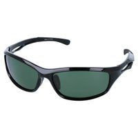 Two Seem Polarized Sunglasses TSC-F21SB