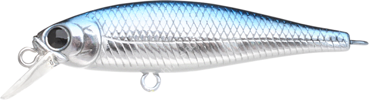 LUCKY CRAFT Pointer 48SP #Aurora Black