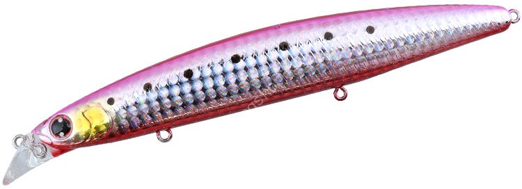 DAIWA Shore Line Shiner Z Vertice SD 140F #Hirame Pink Iwashi