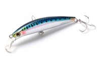 JACKSON Pintail EZ 28 SIW Real Sardine