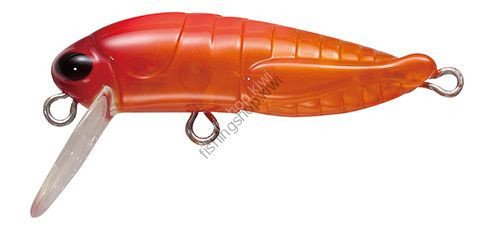 TACKLE HOUSE Grasshopper F 5 Aurora Orange