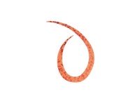 START Silicone Necktie Curly #37 橙色颗粒 (3个)