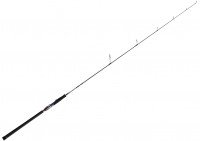 DAIWA Saltiga R J66S-4 HI