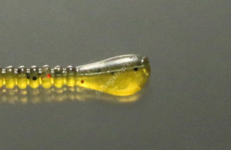 ISSEI Kaitaro Spaterra 2.5" #006 Live shrimp