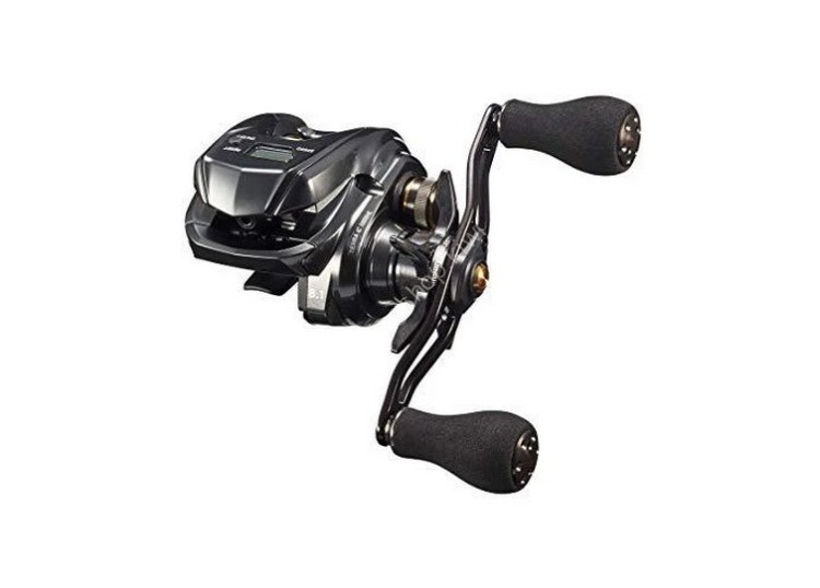 DAIWA 20 Tierra IC 100XHL