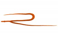 JACKALL BinBin Worm Necktie Twin Tail #F006 Orange Gold Flake