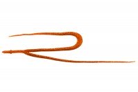 JACKALL BinBin Worm Necktie Twin Tail #F006 Orange Gold Flake