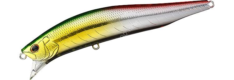 DAIWA Morethan CrossWake R 90F-SSR #Adel Yuu Mazume Kai Lures buy