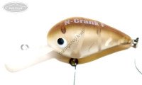 OFFICE EUCALYPTUS N-Crank T 4 H color