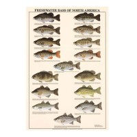 CAPS Fish Chart Poster #Freshwater Bass Of North America