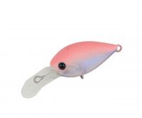 DAYSPROUT ChatteCra DR # C-15 Baicha
