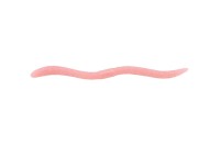 JACKALL Flick Shake 500 4.8'' #Site Sherbet Mimizu (8pcs)