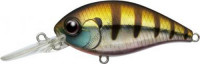 EVERGREEN Combat Crank 250 # 50 Baby Gill