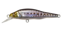 MEGABASS X-80Jr.SW #GG Iwashi