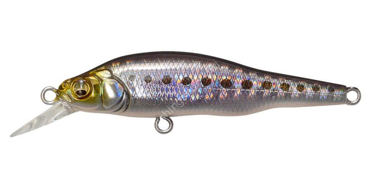 MEGABASS X-80Jr.SW #GG Iwashi
