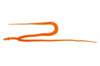 JACKALL BinBin Worm Necktie Twin Tail #F137 Glow Orange