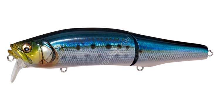 MEGABASS Gorham 147F 45g SW #FA Iwashi