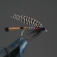 VALLEY HILL Complete Wet Fly W3 Peter Ross