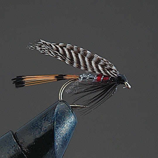 VALLEY HILL Complete Wet Fly W3 Peter Ross