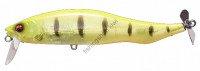 MEGABASS Prop Darter i-WAKE GP FULL CHART GHOST STRIPER