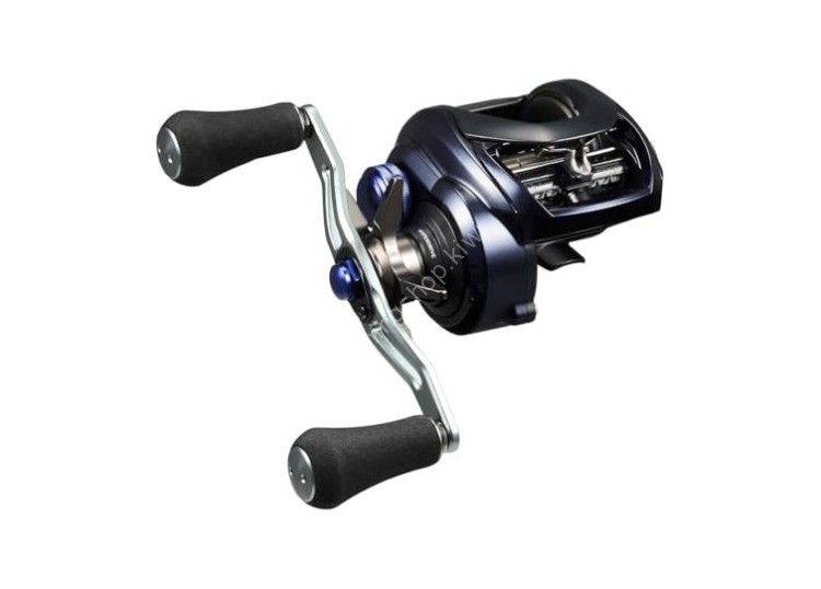 DAIWA 23 Saltist TW 400XH PE Special