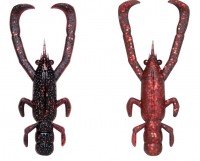 FISH ARROW Freerig Shrimp 2.6" #07 America Zarigani (Two-tone)