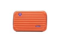 CRAZY OCEAN Mini Shelter Pouch Box #MS07 Navel Orange