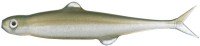 EVERGREEN Last Ace 75 #142 Juvenile Ayu
