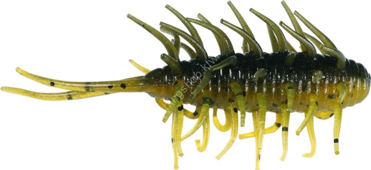 HIDE-UP Coike Shrimp Extra Large #112 Grasshopper