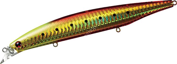 DAIWA Shore Line Shiner Z Vertice 140F # Burning Gold Iwashi Lures