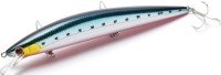JACKSON Athlete 12cm SS #CRI Akahara Iwashi