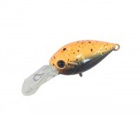 DAYSPROUT ChatteCra DR # C-16 Aracha