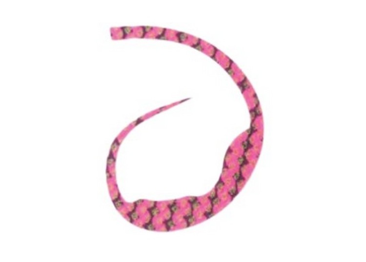 START Silicone Tie Magically #31 Pink Zebra (3 pcs)