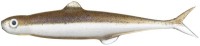 EVERGREEN Last Ace 75 #143 Gripan Minnow