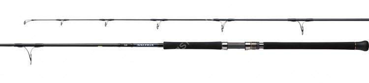 DAIWA Saltiga C 85-8