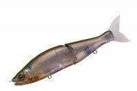 GAN CRAFT x AIMS Ayuja Jointed Claw 178 Type 15-SS Salt Custom # AS-08 Clear Bora