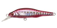 MEGABASS X-80Jr.SW #GG Heat Iwashi