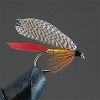 VALLEY HILL Complete Wet Fly W5 Professor