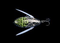 DSTYLE Piq-Seng #Kuma Cicada