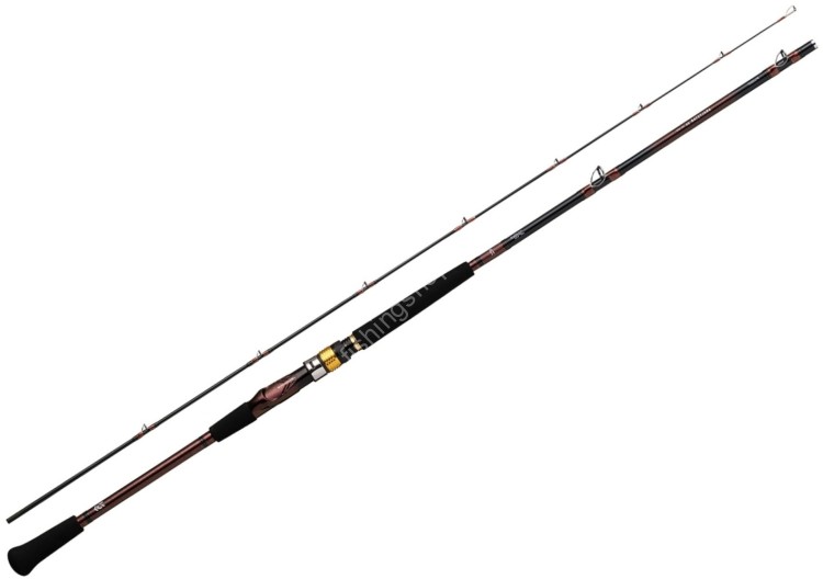 DAIWA Analystar 64 30-265・Q