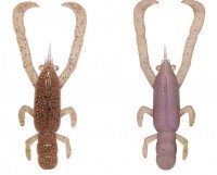 FISH ARROW Freerig Shrimp 2.6" #09 Light Green Pumpkin Pink (Two-tone)